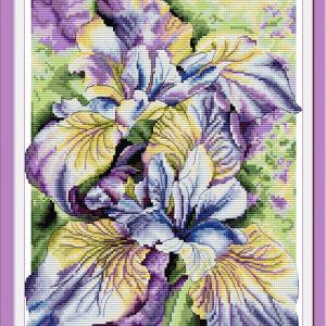 H903 Watercolor Iris Flower