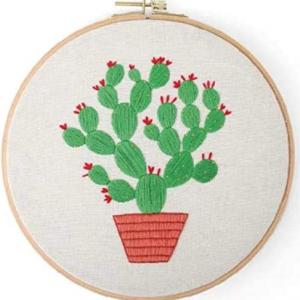 EM-006 Embroidery Kit Plant Series-Cactus